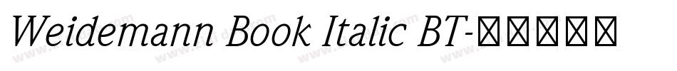 Weidemann Book Italic BT字体转换